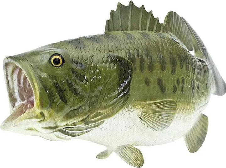 Produktbild Safari Forellenbarsch