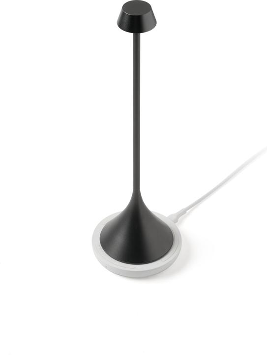 Image du produit Lexon Steli Shade (120 lm)
