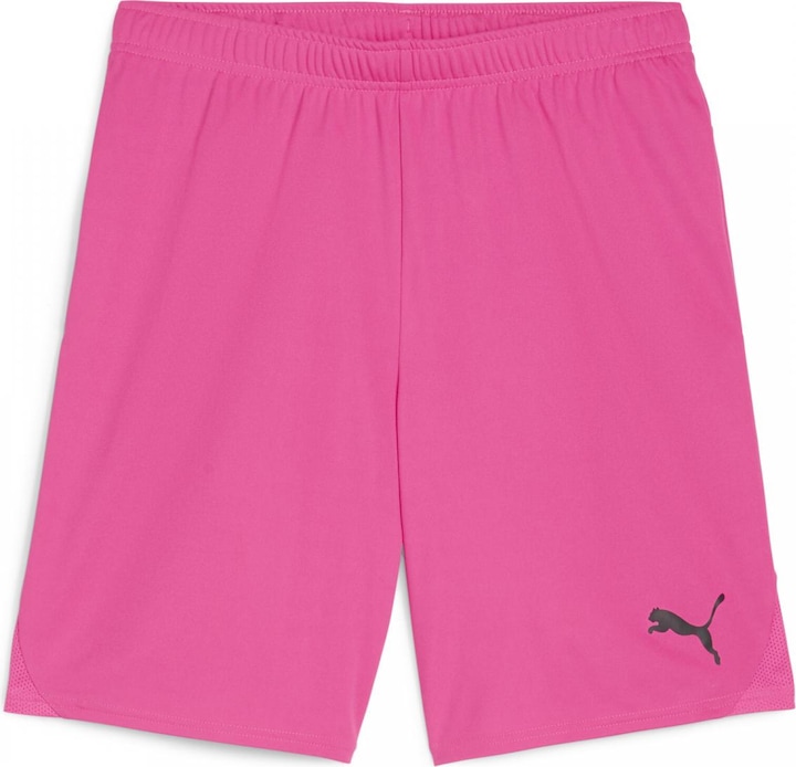 Actual product image Puma teamGOAL shorts (XL)