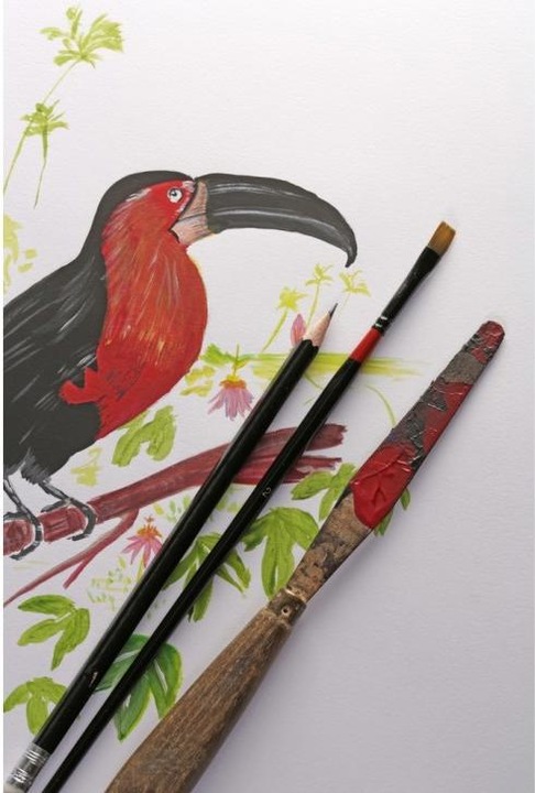 Actual product image Clairefontaine Paint ON (250 g/m², 40 x)