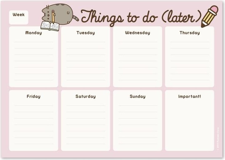 Actual product image Pusheen - Weekly desk planner from the Rose collection, 54 sheets