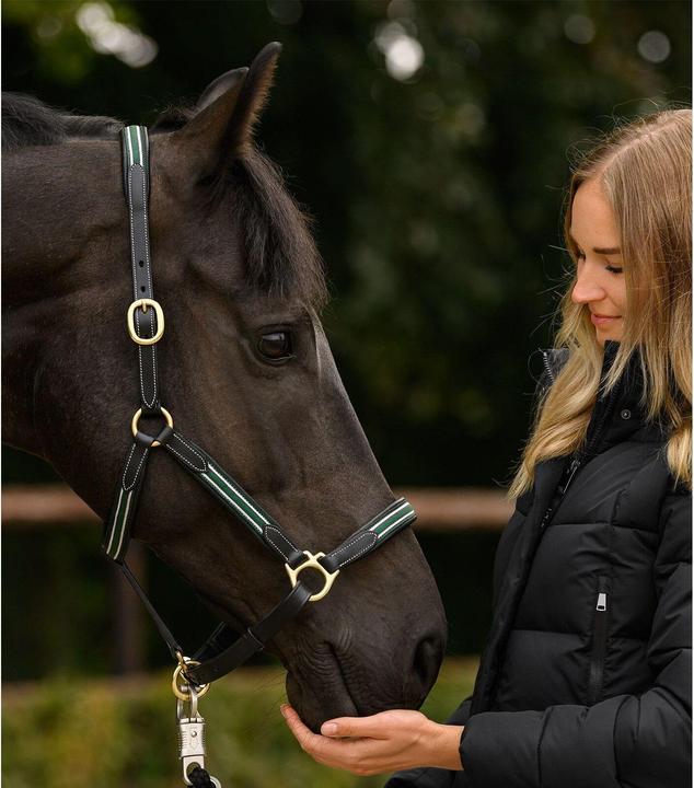 Immagine prodotto Waldhausen X-Line Oxford