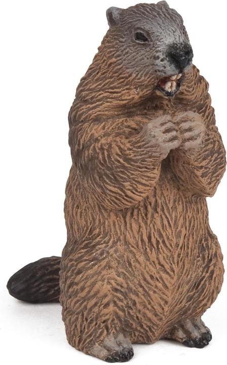 Image du produit Papo Marmotte
