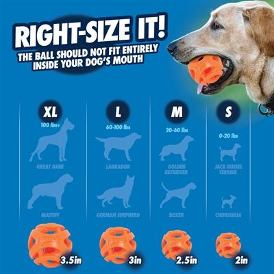 Produktbild Chuckit! CHUCKIT BREATHE RIGHT Bring the ball Lots 6.5 cm in diameter Size M 2 pcs Orange (Ballspielzeug Hund)
