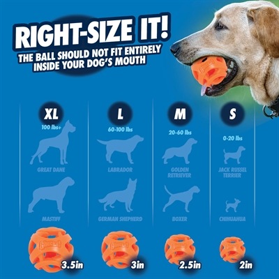 Actual product image Chuckit! CHUCKIT BREATHE RIGHT Bring the ball Lots 6.5 cm in diameter Size M 2 pcs Orange (Ball toy dog)