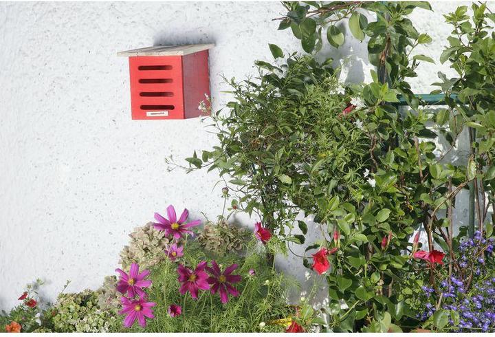 Produktbild Windhager Florfliegenkasten (Florfliegen)