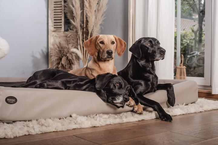 Produktbild Sabro Kudde (Hund)
