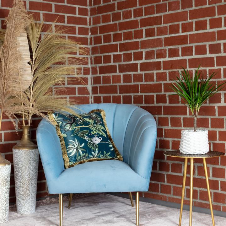 Produktbild Flowerbox Drachenbaum - Dracaena Marginata (35 cm)