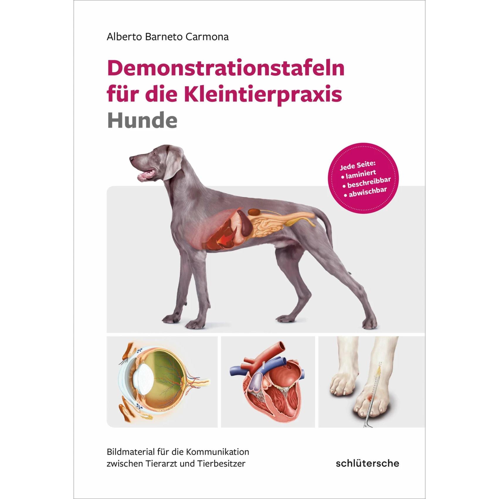 Demonstrationstafeln für die Kleintierpraxis Hunde, Fachbücher von Alberto Berneto Carmona