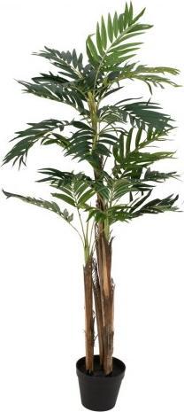 Produktbild Europalms Areca Palme (110 cm)
