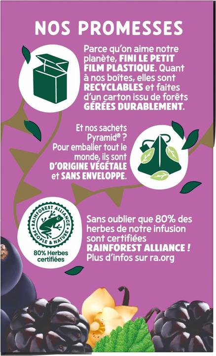 Produktbild Elephant Infusion Myrtille Múre Cassis (40 g)