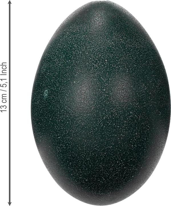 Actual product image Viana Emu Ei Dekoobjekt (1x)