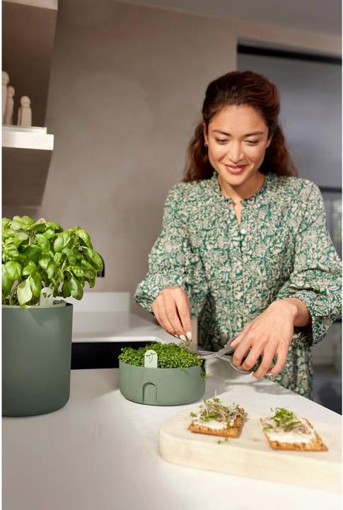 Actual product image Elho Magic Microgreens (16.80 cm)