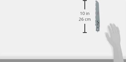 Produktbild Bosch Professional Zubehör Sägeblatt M 1131 L für Bosch-Multisäge PFZ 500 E