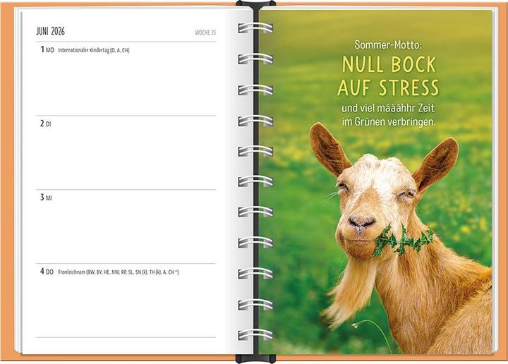 Image du produit Terminplaner 2026 Happymacher (10 x 15,5 cm, 1 semaine / 2 pages)