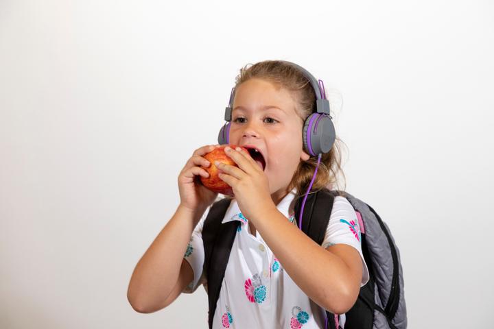 Actual product image JLab Audio JBuddies