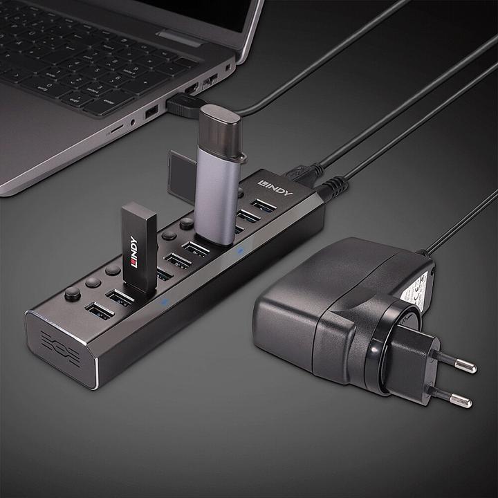 Actual product image Lindy 10 Port USB 3.0 Hub with On/Off Switches Connect up to 10 USB Devices (USB-C, 10 Ports)