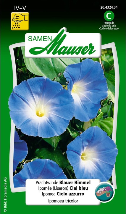 Produktbild Samen Mauser Prunkwinde Blauer Himmel (Pflanzensamen)