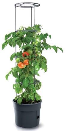 Actual product image Prosperplast Tomato grower IPOM300 tomato pot (29.50 cm)