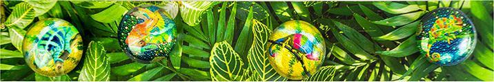 Produktbild Trendform Magnetbrett Story Box Chameleon 5 x 30 cm (1x)
