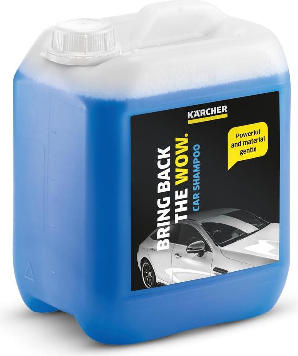 Actual product image Kärcher Rm 619