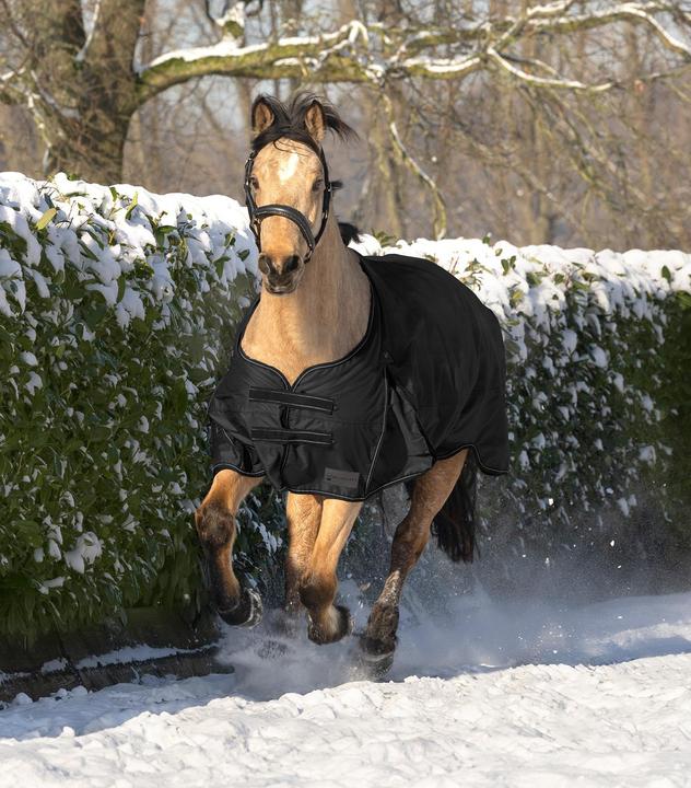 Immagine prodotto Waldhausen Tappeto da esterno per cavalli Arctic 100g nero 155 cm (155 cm)