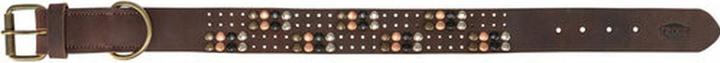 Actual product image Trixie Rustic fatleather collar Rivet, M:38–47cm/40mm, dark brown (M)