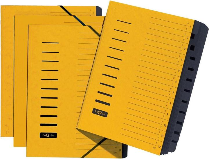 Actual product image Pagna Folder with elastic band A4 (A4, 1x)