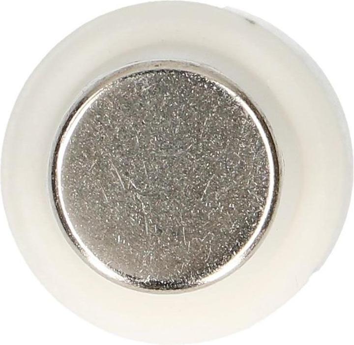 Actual product image Max Hauri Fuse (25 A)