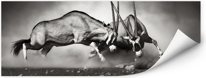Produktbild Trenddeko Das Duell (200 x 80 cm)