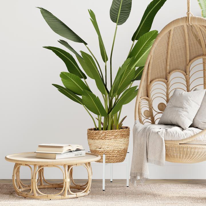 Image du produit Relaxdays 2x supports de plantes