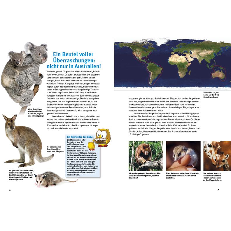 Thumbnail - Entdecke die Beuteltiere, Kinderbücher von Leonie Proscurcin