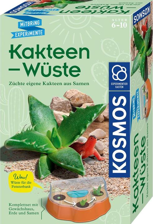 Actual product image Kosmos Cactus desert