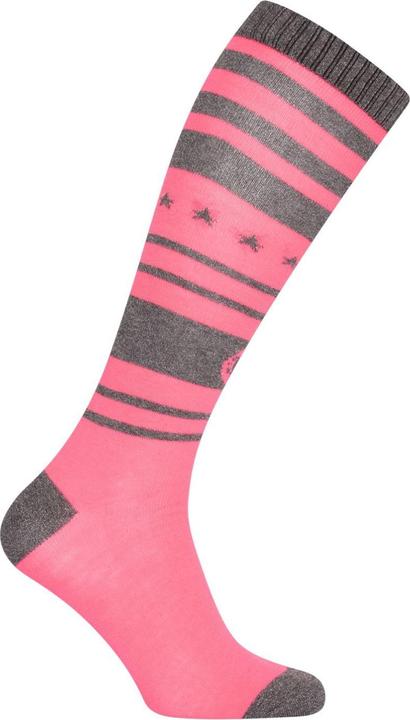 Knockout Pink
