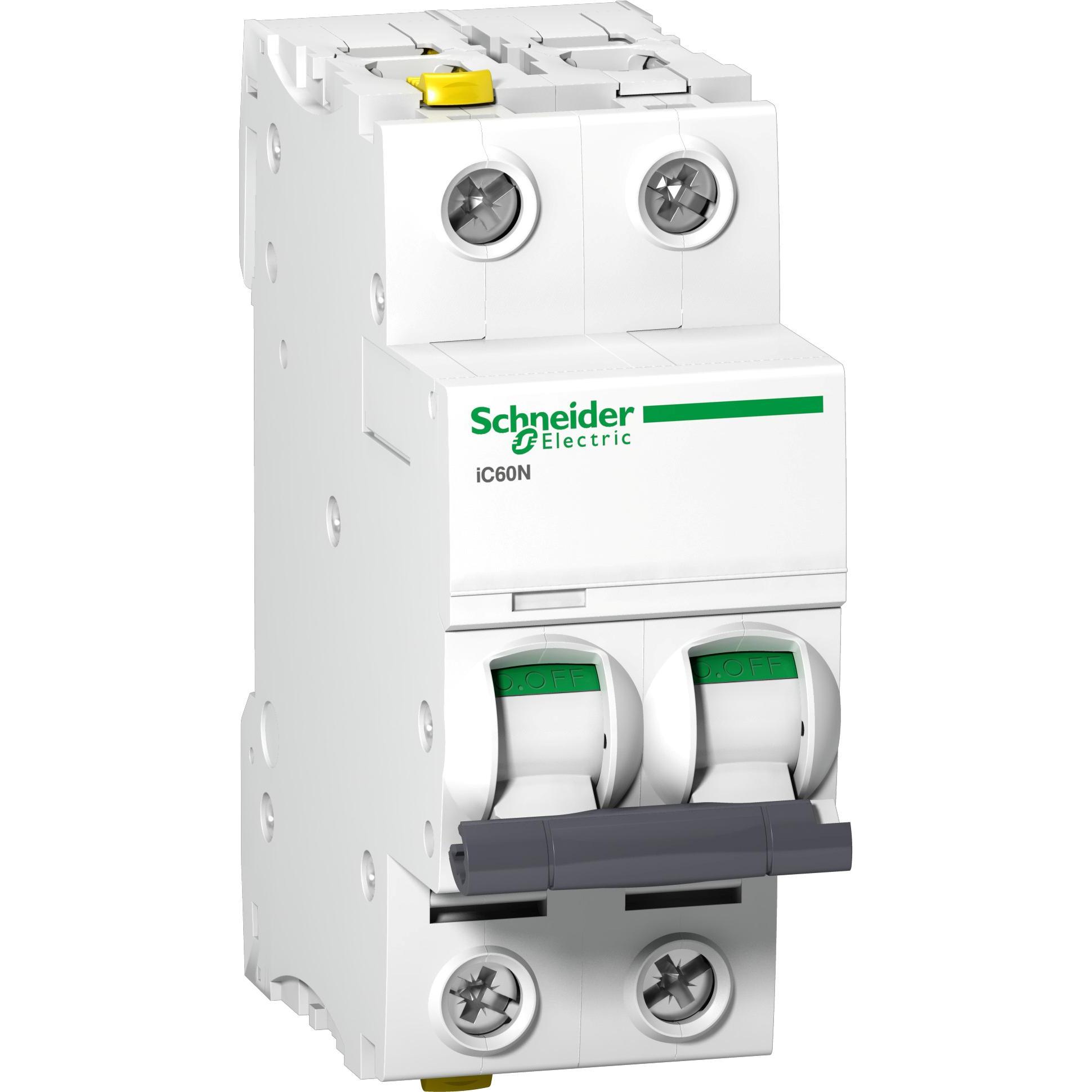 Schneider Electric, Schutzschalter, LSSchalter iC60N 2p