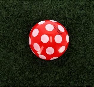 Actual product image John Ball Mushroom