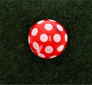 Produktbild John Ball Pilz