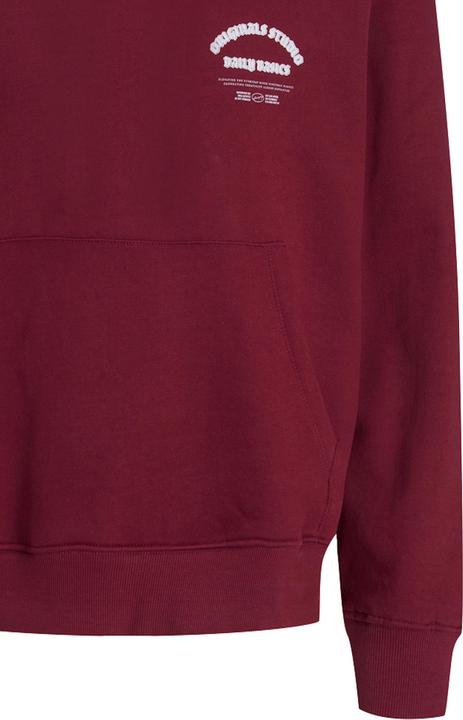 Actual product image Jack & Jones Junior Kapuzenpullover MEADOWS Hoodie (152)
