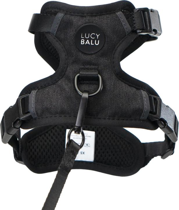 Produktbild LucyBalu EXPLORER Katzengeschirr (M, L, Katze)