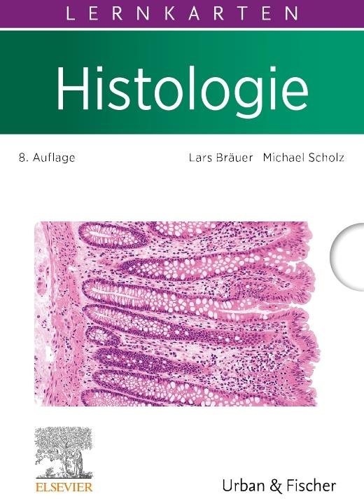 Bräuer:Lernkarten Histologie (Deutsch, Michael Scholz, Lars Bräuer, 2024)