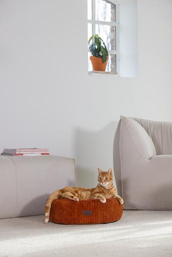 Immagine prodotto Designed by Lotte Ribbed (Gatto)