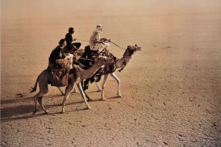 Actual product image Lawrence of Arabia (DVD, 1962, German, Spanish, English)