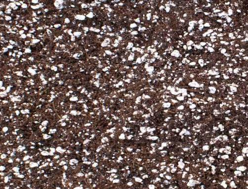 Actual product image Atami High Porosity Cocos, 50 litres (50 l)