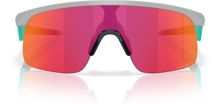 Produktbild Oakley Resistor (MATTE FOG, prizm field)