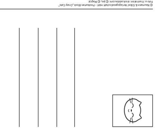 Produktbild Postkartenblock Crazy Cats (20 Stk.)