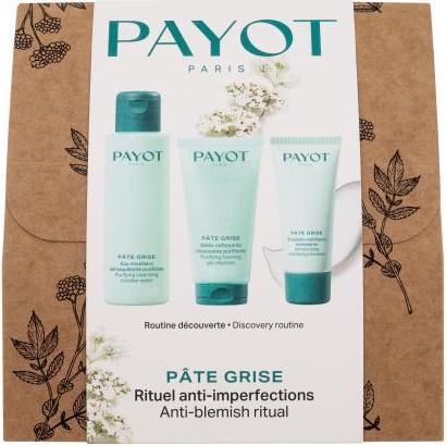 Actual product image Payot Paris Payot Pâte Grise Rituel Pureté (100 ml)