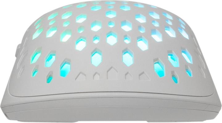 Actual product image Baracuda Octopus (Cable)