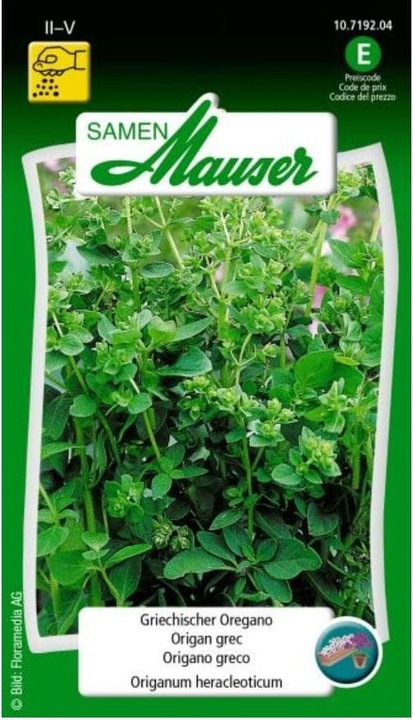 Samen Mauser L'origan grec (Graines d'herbes aromatiques)
