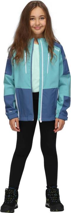 Actual product image Regatta Highton Jacket IV (116)