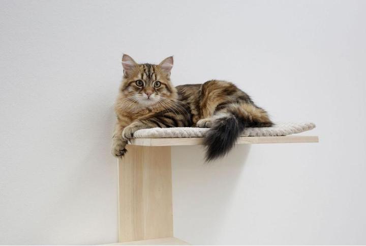 Immagine prodotto Kerbl Legname (150 cm, Natura, Bianco)